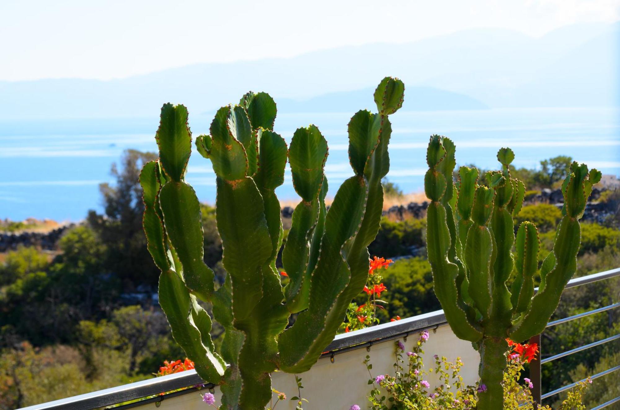 Anemos Elounda Villas Luaran gambar